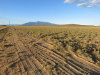 Great views from this 40 Acre Lot 40 Acres Colorado Land