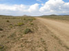 40 Acres Colorado Land