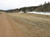 1.31 Acres of Colorado Land for Sale 1.31 Acres Colorado Land