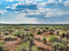 35.8 Acres of Land for Sale in Colorado 35.8 Acres Colorado Land