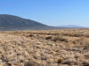 40.09 Acres Colorado Land