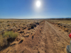 Land for Sale in Colorado 5 Acres Colorado Land