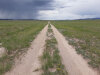 5 Acres Colorado Land