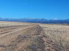 20 Acres of Colorado Land for Sale