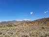 Cheap Colorado Land for Sale, 5.0 Acres