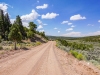 5.36 Acres of Colorado Land for Sale