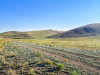 4.3 Acres Colorado Land