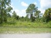 .23 Acres of Land for Sale in Florida .23 Acres Florida Land