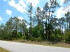 Land for Sale in Florida .25 Acres Florida Land