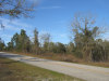 0.32 Acres of Land for Sale in Florida 0.32 Acres Florida Land