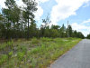 Florida Land Auction 0.25 Acres Florida Land