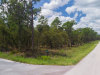 Florida Land for Sale, $146 per month 0.23 Acres Florida Land