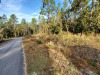 Florida Land Auction 0.48 Acres Florida Land