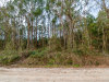 Owner Financing, $311 per month 2 Acres Georgia Land
