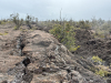1 Acre of Hawaii Land for Sale