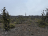 1 Acre of Hawaii Land for Sale