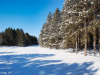Minnesota Land Auction, 1.05 Acres 1.05 Acres Minnesota Land