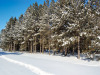 1.04 Acres for $266 a month 1.04 Acres Minnesota Land