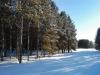 Minnesota Land Auction 1 Acre Minnesota Land