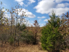 Missouri Land for Sale, 6.33 Acres 6.33 Acres Missouri Land