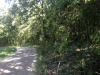 1.75 Acres of Missouri Land for Sale
