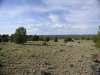 5.02 Acres New Mexico Land