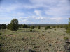 5.02 Acres of Cheap New Mexico Land