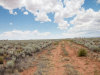6.27 Acres New Mexico Land
