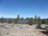 Owner Financing, $266 per month 5.10 Acres New Mexico Land