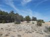 5.06 Acres New Mexico Land