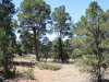 2.5 Acres New Mexico Land