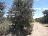 4.69 Acres New Mexico Land