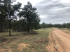 12.73 Acres of Cheap New Mexico Land