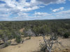 New Mexico Land Auction, 7.02 Acres 7.02 Acres New Mexico Land