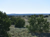 New Mexico Land for Sale, $128 per month 4.98 Acres New Mexico Land