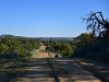 Land for Sale in New Mexico 5.02 Acres New Mexico Land