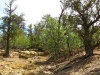 1.49 Acres New Mexico Land