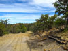 1.38 Acres of New-mexico Land for Sale