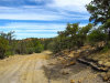 1.40 Acres of New-mexico Land for Sale