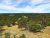 1.37 Acres New Mexico Land