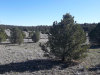 5.43 Acres New Mexico Land