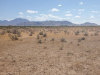 80 Acres New Mexico Land