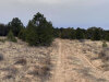 5.29 Acres New Mexico Land