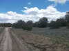 New Mexico Land Auction 4.01 Acres New Mexico Land