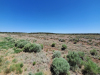 20 Acres New Mexico Land