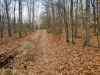 Land for Sale in New York 0.9 Acres New York Land