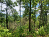 Owner Financing, $269 per month 1.68 Acres North Carolina Land