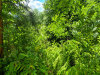 1.00 acres