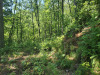 1.1 Acres of Land for Sale in NorthCarolina 