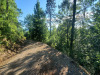 3.7 Acres North Carolina Land
